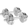 Wholesale Chrome Dumbbells Professional Dumbbell Set for Home Gym