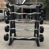 Round Tip Plastic Dumbbells for Men Commercial Fitness Equipment Rubber Dumbbells for Home Use Fixed Barbells