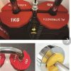 Micro Fractional Weight Plates 0.25/0.5/1kg - Rubber Coated Gym Add-On Plates for Dumbbell & Barbell, Standard Bars