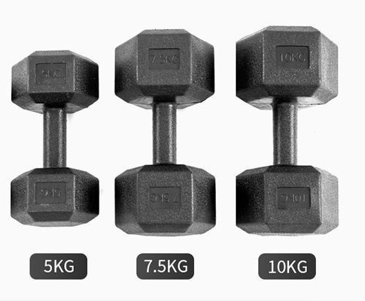 Cement-Filled Plastic Dumbbell Set (1-10kg) - Home Gym Weights for Strength Training, Fitness & Weight Lifting Exercises