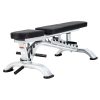 Commercial Multi Adjustable Stainless Steel Weight Lifting Bench Foldable Portable Incline Flat Decline Dumbbell Workout Bench