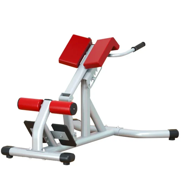 Adjustable Multi-Function Ab & Back Training Bench for Men and Women