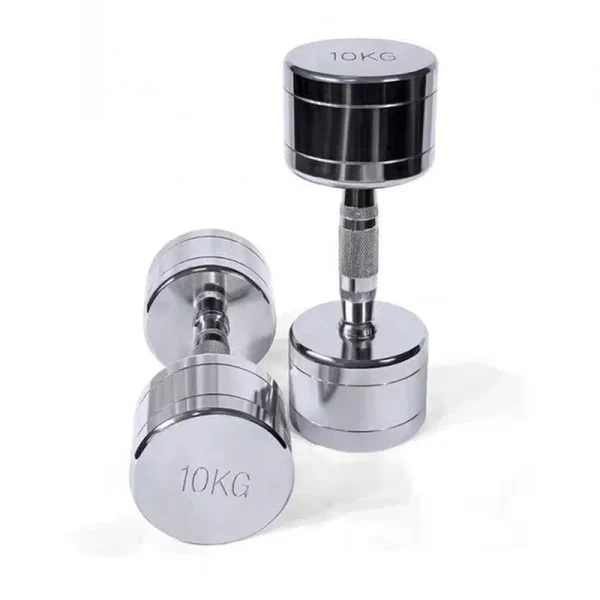 Small Weight Gym Electroplated Dumbbell 1-10KG for Wholesale Fitness Buyers