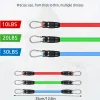 Fitness Gym Accessories Ankle Strap with 2 Buckles Model for Leg Glute