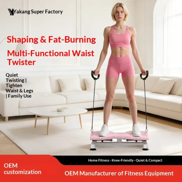 Multifunctional Mechanical Waist Twist Machine with Pull Cord Silent Design