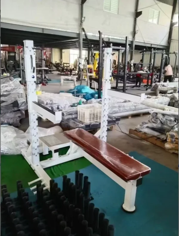 Professional Adjustable Incline Decline Flat Bench Press for Home Gym