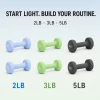 Custom Logo Neoprene Dumbbell Set with Folding Rack 2/3/5LB Home Gym Dumbbells
