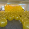 PVC Anti Burst Frosted Mini Yoga Ball Pilates Wheat Tube Ball Gymnastics