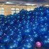 PVC Anti Burst Frosted Mini Yoga Ball Pilates Wheat Tube Ball Gymnastics
